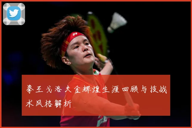 拳王戈洛夫金辉煌生涯回顾与技战术风格解析
