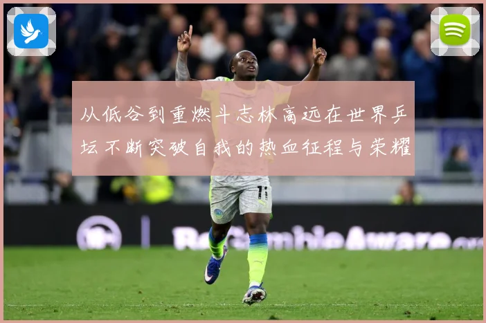 从低谷到重燃斗志林高远在世界乒坛不断突破自我的热血征程与荣耀梦想解析
